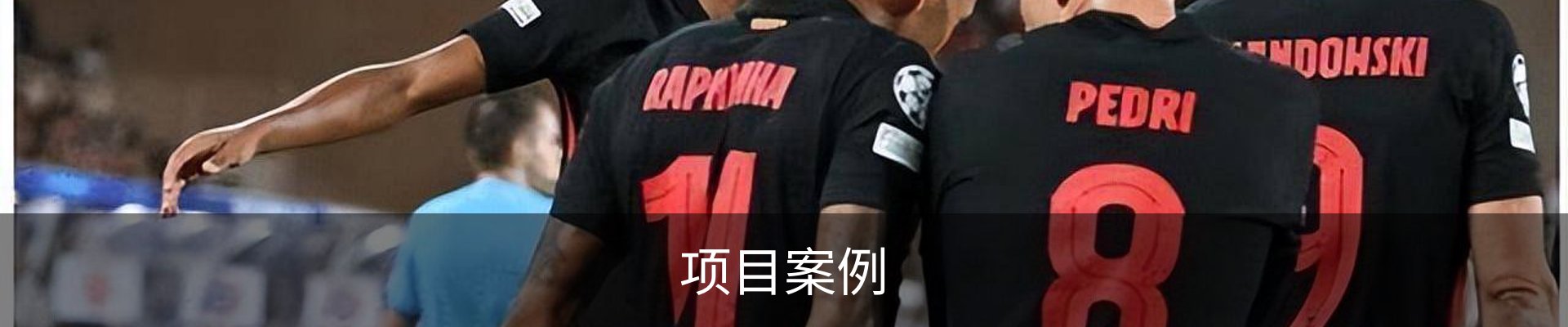 项目案例